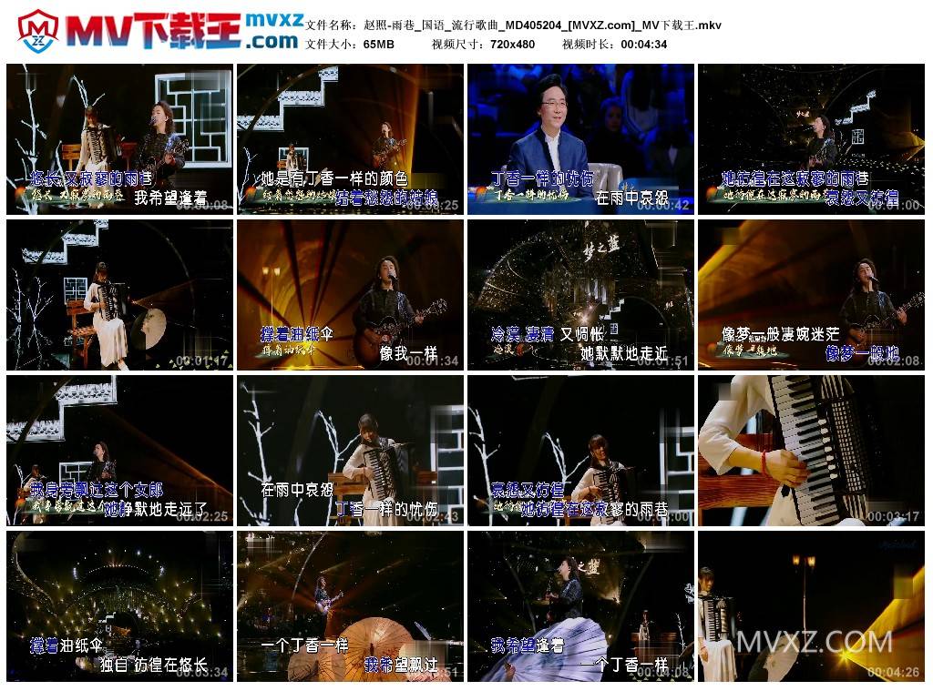 赵照-雨巷_国语_流行歌曲_MD405204